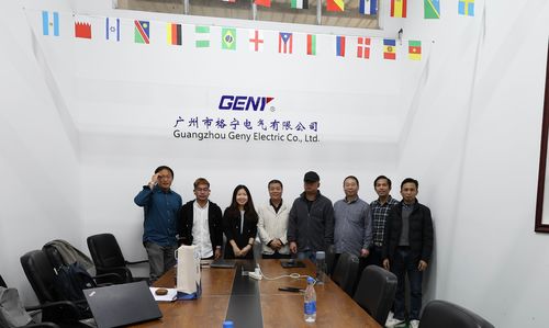Últimas noticias de la empresa sobre Colaboración transfronteriza: Ingenieros de EDMI entrenados en la fábrica GENY para mejorar la asociación